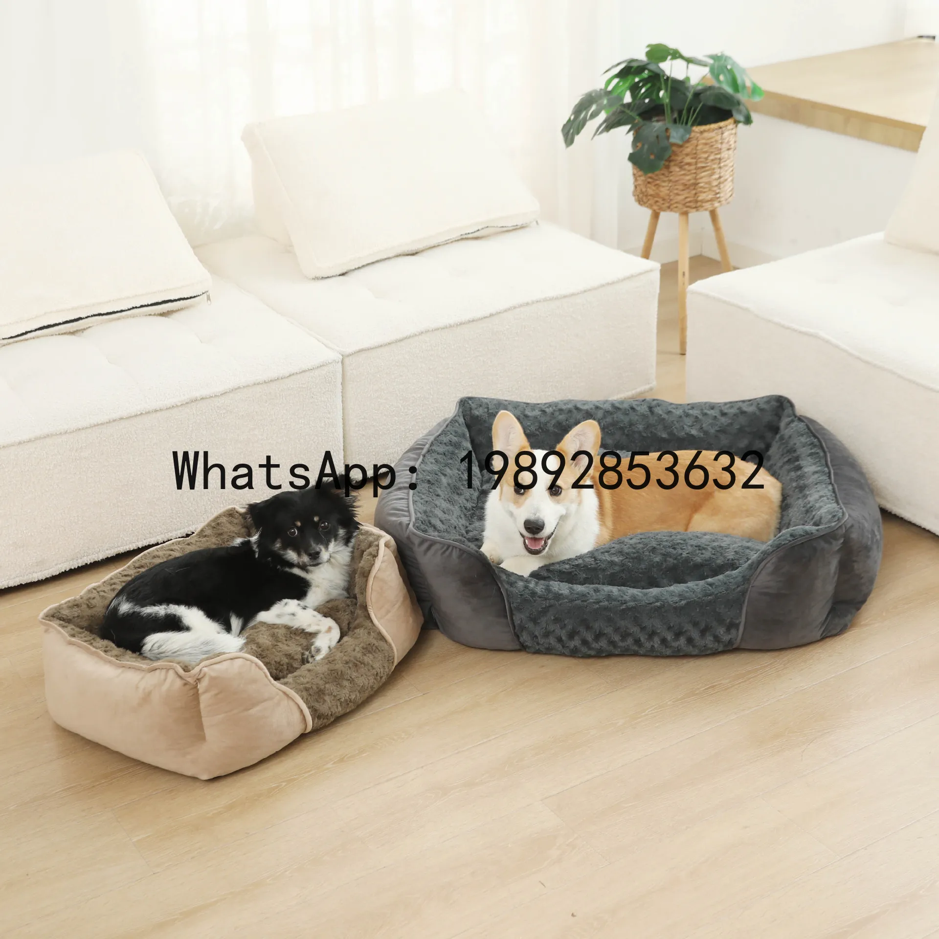 Pet X Supplies & Tack Grooming - Rumah kucing X, kandang anjing semi-tertutup,