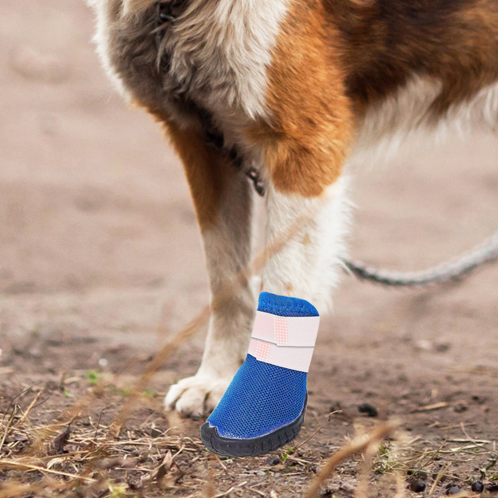 Dog Booties Paw Protector - 10Pcs Penutup Kaki Hewan Peliharaan Anti